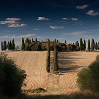 网页电话直接拨打